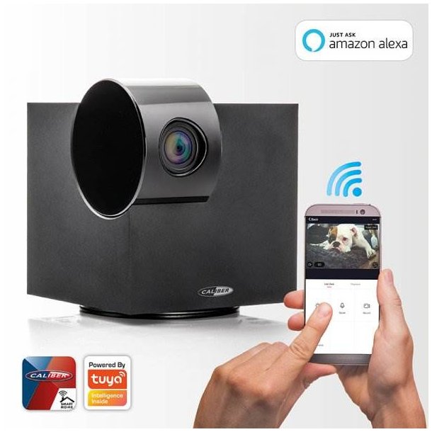 Caliber ip Kamera m. bev�gelsesdetektor, pan