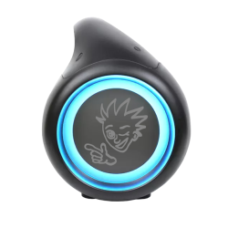 PexMan PM-50 transportabel Bluetooth hjtaler