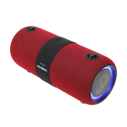 PexMan PM-10R transportabel Bluetooth hjtaler