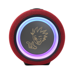 PexMan PM-10R transportabel Bluetooth hjtaler