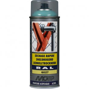 Ral 6027 high gloss light green