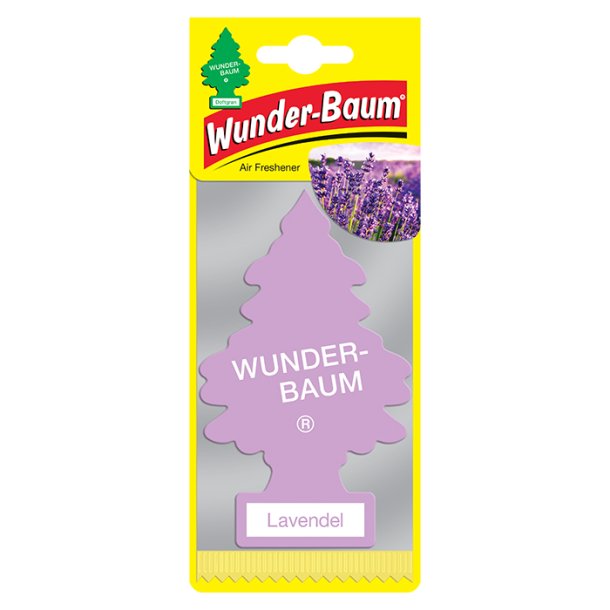 1 stk. Wunderbaum Lavendel