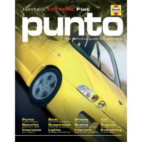 Bog styling Fiat Punto