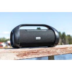 PexMan PM-50 transportabel Bluetooth hjtaler