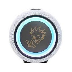 PexMan PM-10W transportabel Bluetooth hjtaler