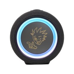 PexMan PM-10B transportabel Bluetooth hjtaler