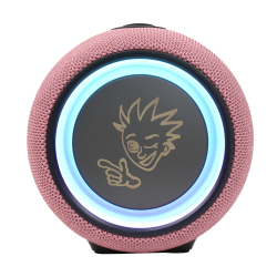 PexMan PM-10P transportabel Bluetooth hjtaler