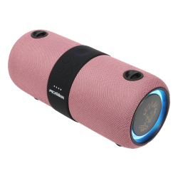 PexMan PM-10P transportabel Bluetooth hjtaler