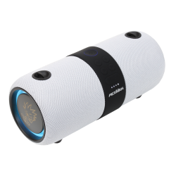 PexMan PM-10W transportabel Bluetooth hjtaler