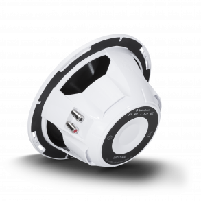 Rockford Fosgate Marine RM110D2 Prime 10