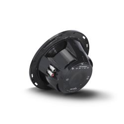 Rockford Fosgate Marine RM18D2B  Prime 8" Dual 2-Ohm Subwoofer - Black